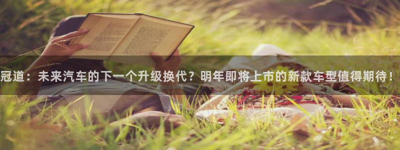 伟德国际1946vk：冠道：未来汽车的下一个升级换代？明年即将上市的新款车型值得