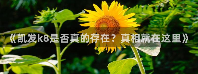 伟德国际1946凯捷平台：《凯发k8是否真的存在？真相就在这里》