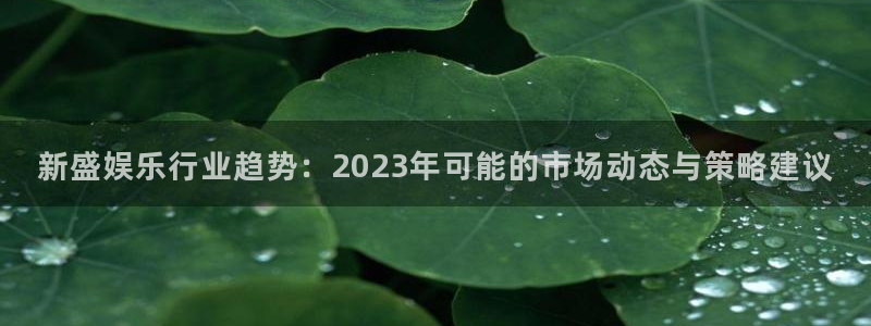 伟德国际1946体育官网入口登录：新盛娱乐行业趋势：2023年可能的市场动态与策略建议