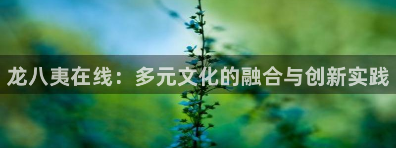 伟德国际1946登录界面入口：龙八夷在线：多元文化的融合与创新实践