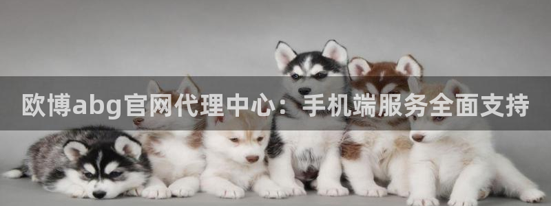 伟德国际1946平台在线注册：欧博abg官网代理中心：手机端服务全面支持