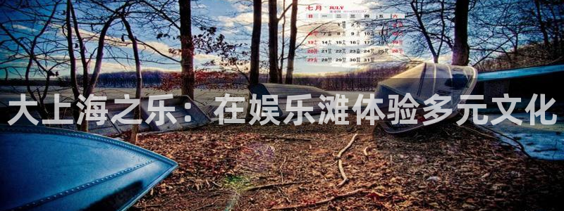 伟德国际1946凯捷开号链接：大上海之乐：在娱乐滩体验多元文化