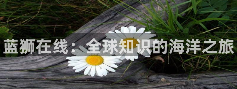 伟德国际1946体育凯捷平台主管：蓝狮在线：全球知识的海洋之旅