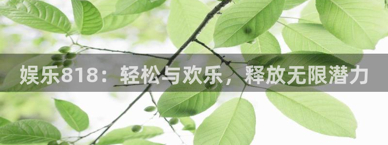 伟德国际1946体育和杏耀是哪个公司的：娱乐818：轻松与欢乐，释放无限潜力