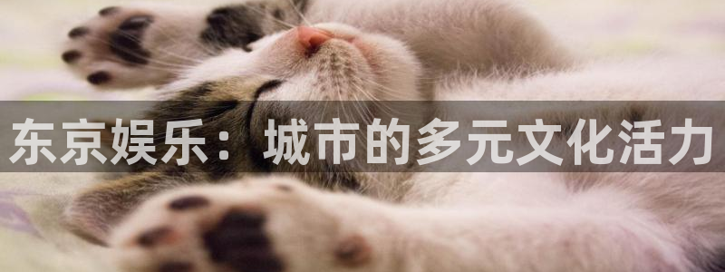 www.伟德国际1946体育.com：东京娱乐：城市的多元文化活力