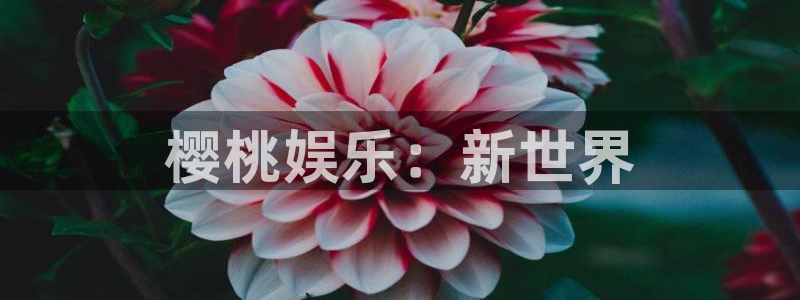 伟德国际1946平台