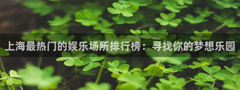 伟德国际1946体育和杏耀是哪个公司的：上海最热门的娱乐场所排行榜：寻找你的梦想乐园