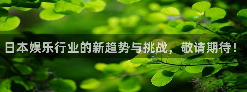 伟德国际19463注册：日本娱乐行业的新趋势与挑战，敬请期待！