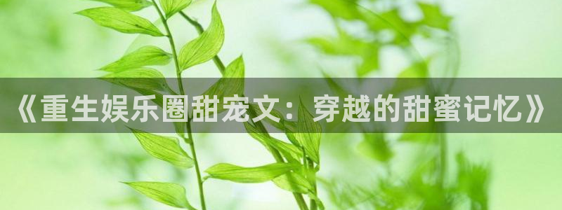 伟德国际19462登录：《重生娱乐圈甜宠文：穿越的甜蜜记忆》