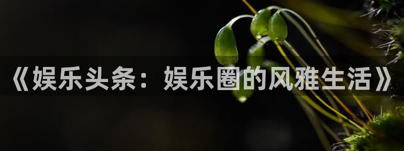 东莞市伟德国际1946电子科技有限公司：《娱乐头条：娱乐圈的风雅生活》
