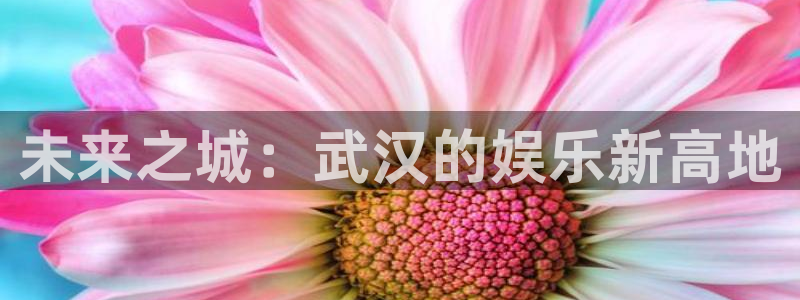 伟德国际1946体育凯捷平台注册：未来之城：武汉的娱乐新高地