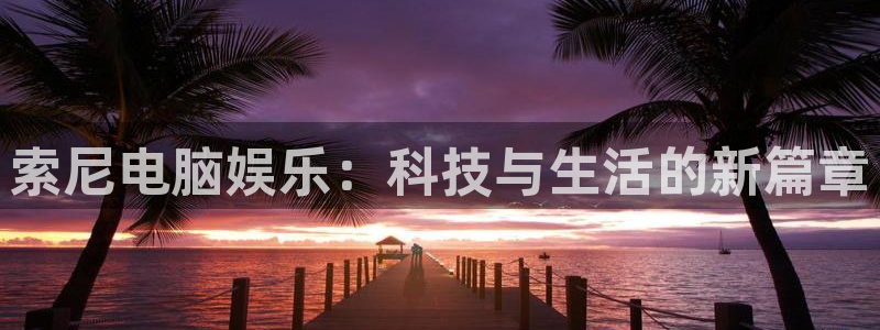 伟德国际1946体育注册平台：索尼电脑娱乐：科技与生活的新篇章