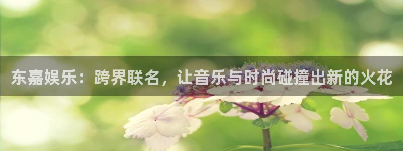 伟德国际1946平台主管：东嘉娱乐：跨界联名，让音乐与时尚碰撞出新的火花