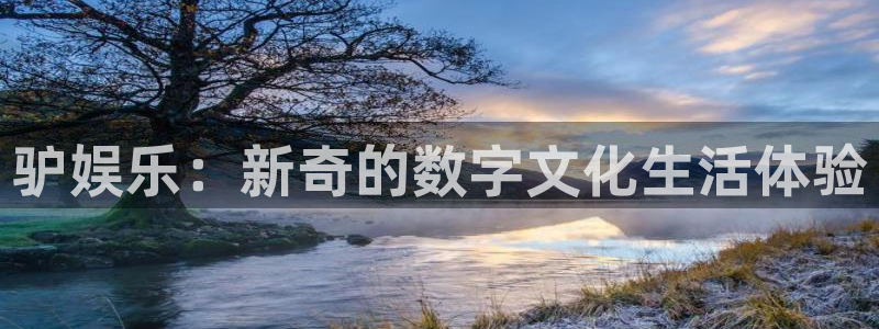 上海伟德国际1946汽车电子有限公司：驴娱乐：新奇的数字文化生活体验