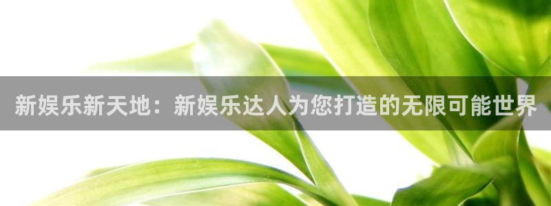 伟德国际1946登录界面入口：新娱乐新天地：新娱乐达人为您打造的无限可能世界