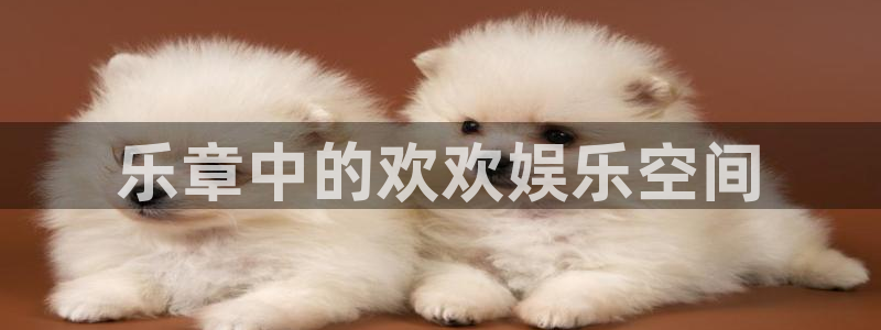 伟德国际19463平台登录注册：乐章中的欢欢娱乐空间